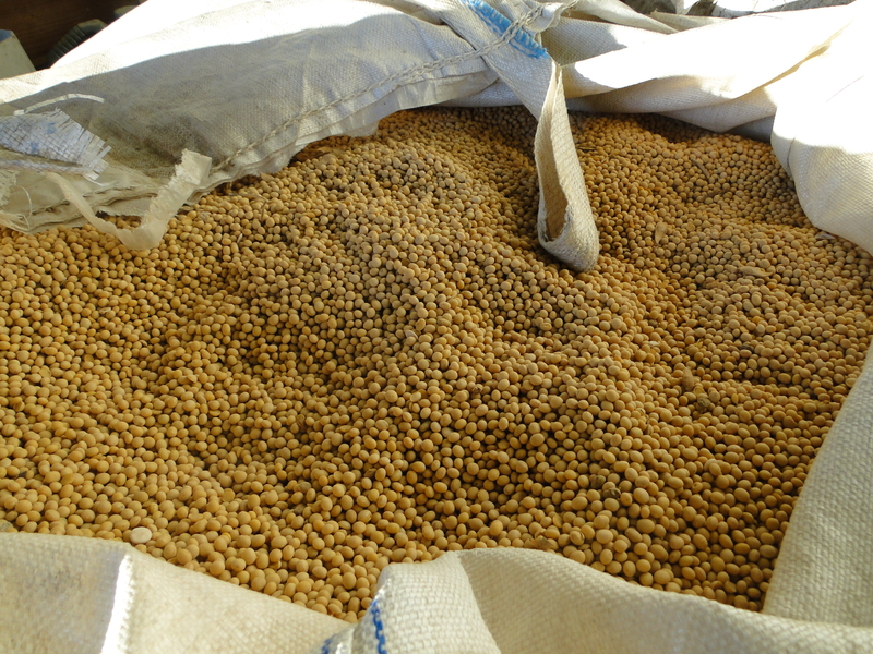 cereales 8